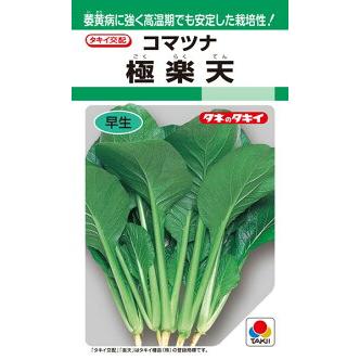 タキイ種苗 コマツナ 小松菜 極楽天 20ml : 種苗・園芸ショップ 種もり