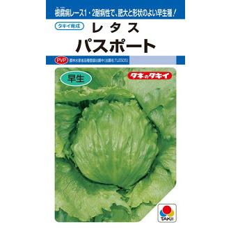 タキイ種苗 レタス パスポート ペレット L5000粒 PVP : 種苗・園芸