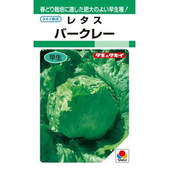タキイ種苗 レタス バークレー GF : 種苗・園芸ショップ 種もり - 通販