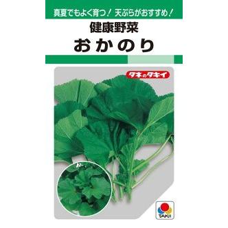 タキイ種苗 健康野菜 おかのり ml Takii 0504 種苗 園芸ショップ 種もり 通販 Yahoo ショッピング
