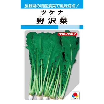 タキイ種苗 葉菜 野沢菜 1L : 種苗・園芸ショップ 種もり - 通販 