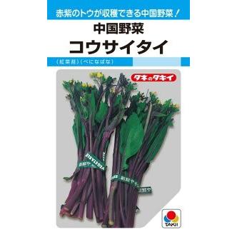 タキイ種苗 中国野菜 コウサイタイ 紅菜苔 べになばな Mf Takii 0581 種苗 園芸ショップ 種もり 通販 Yahoo ショッピング
