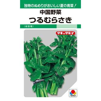 タキイ種苗 中国野菜 つるむらさき 緑茎種 2dl Takii 0591 種苗 園芸ショップ 種もり 通販 Yahoo ショッピング