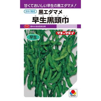 タキイ種苗 エダマメ 枝豆 早生黒頭巾 1L : 種苗・園芸ショップ 種もり