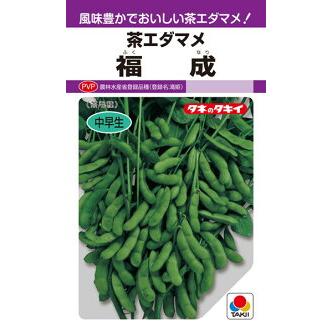 タキイ種苗 エダマメ 枝豆 福成 PF : 種苗・園芸ショップ 種もり