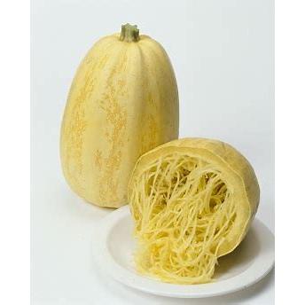 タキイ種苗 カボチャ 南瓜 金糸瓜（そうめん南瓜）100粒 : 種苗・園芸