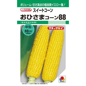タキイ種苗 スイートコーン おひさまコーン88 2000粒 : 種苗・園芸