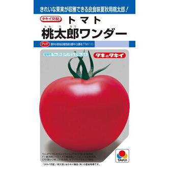 タキイ種苗 トマト 桃太郎ワンダー 1000粒 PVP : 種苗・園芸ショップ