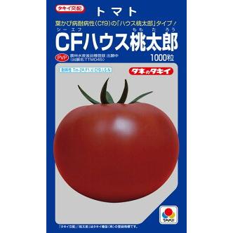 タキイ種苗 トマト CFハウス桃太郎 1000粒 : 種苗・園芸ショップ 種