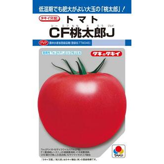 タキイ種苗 トマト CF桃太郎J 1000粒 : 種苗・園芸ショップ 種もり
