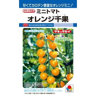 タキイ種苗 トマト オレンジ千果 Pvp Df 期間限定