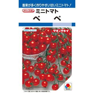 トマトページ タキイ種苗 トマト ペペ 1000粒 : 種苗・園芸ショップ 種もり - 通販