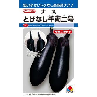 タキイ種苗 ナス 茄子 とげなし千両二号 1000粒 PVP : 種苗・園芸