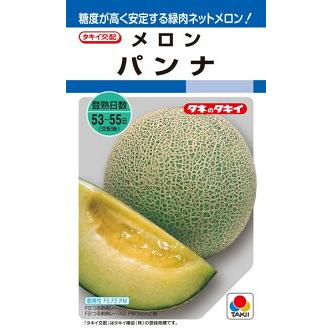 たね タキイ種苗 メロン 種子 パンナ 100粒 : 種苗・園芸ショップ 種