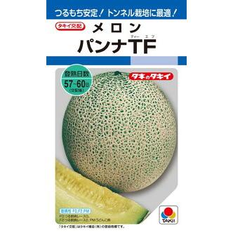 たね タキイ種苗 メロン 種子 パンナTF 100粒 : 種苗・園芸ショップ 種