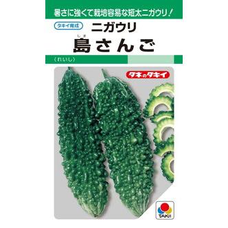タキイ種苗 ゴーヤ ニガウリ 島さんご GF : 種苗・園芸ショップ 種もり