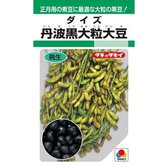 丹波黒大粒大豆　1L　【タキイ種苗】　種 タキイ種苗 ダイズ 大豆 丹波黒大粒大豆 1L : 種苗・園芸ショップ 種