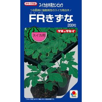 たね タキイ種苗 台木 スイカ用 Frきずな 0粒 Takii 1362 種苗 園芸ショップ 種もり 通販 Yahoo ショッピング