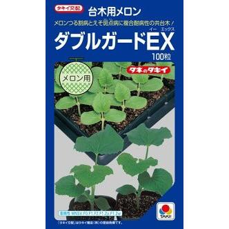 たね タキイ種苗 台木 メロン用 ダブルガードEX 100粒 : 種苗・園芸