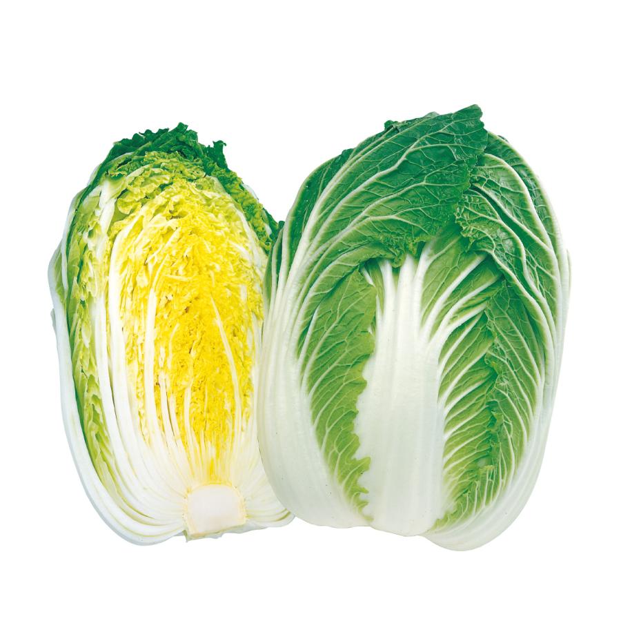 タキイ種苗 ハクサイ 白菜 はくさい 黄ごころ80 ペレット5000粒 :takii-1623:種苗・園芸ショップ 種もり - 通販 ...