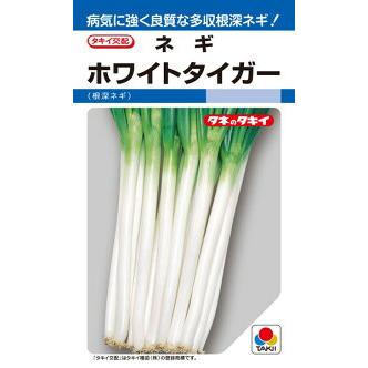 タキイ種苗 ネギ 葱 ホワイトタイガー 1dl Ytxqroizao 種 種子 Sprintmart Com