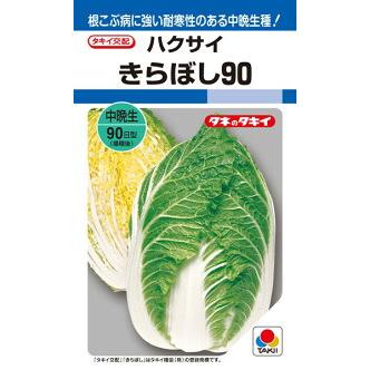 残りわずか タキイ種苗 ハクサイ 白菜 きらぼし90 ml 手数料安い Www Tiebreak Fr