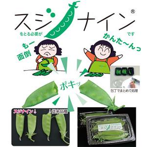 トキタ種苗 さやえんどう 0粒 割引も実施中 スジナイン