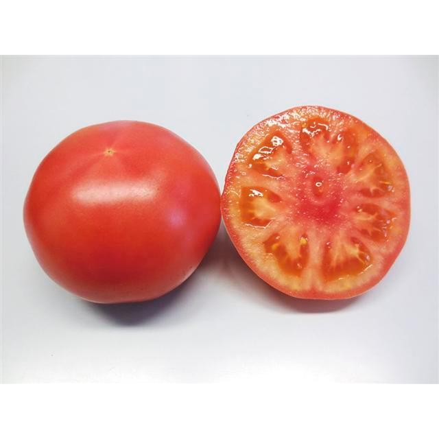 最高の トキタ種 トマト 豊作祈願１１０３ 1000粒 超人気 Kuljic Com