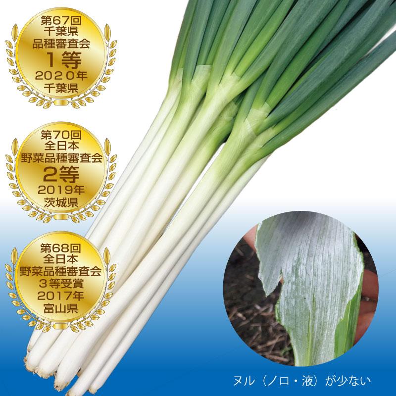 ねぎ トキタ種苗 ネギ ねぎ 葱 大河の轟き 1dl : 種苗・園芸ショップ 種もり