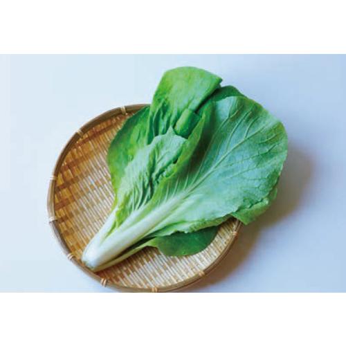 【なっぱ】 トキタ種苗 ナッパ 菜っ葉 なっぱ 灼熱サラダ菜っぱ 2dl : 種苗・園芸