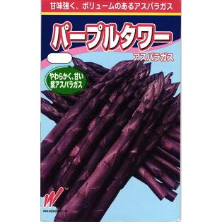 渡辺農事 アスパラガス パープルタワー 小袋 : 種苗・園芸ショップ 種