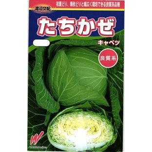 渡辺農事 キャベツ たちかぜ コート5000粒 : 種苗・園芸ショップ 種