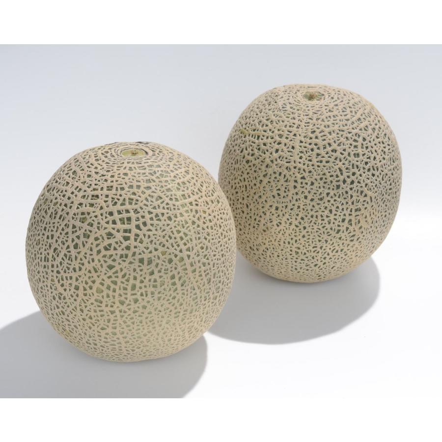 たね 横浜植木 メロン クインシー719 100粒 : 種苗・園芸