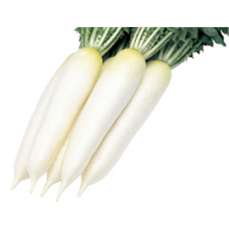 クラリーの土 １６ L ハーブ 野菜 バラ がよく育つ 有機 オーガニック 馬ふん 培養土 堆肥 お得用 ５袋 セット 日本メーカー新品