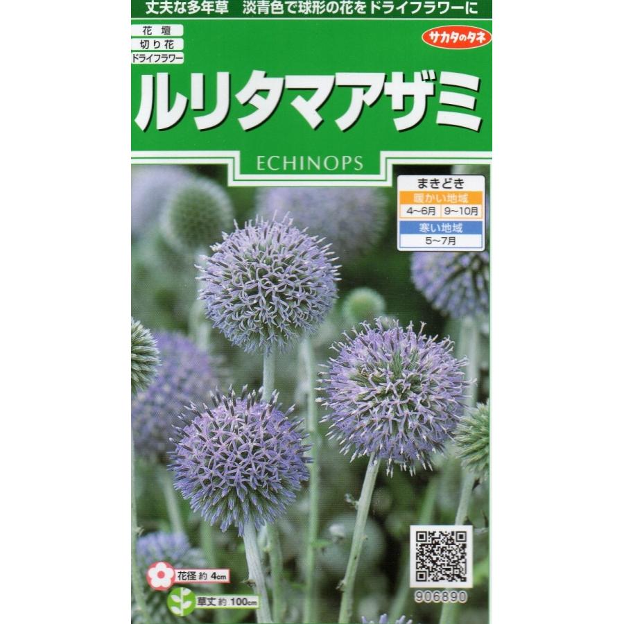 ルリタマアザミ 小袋 1 5ml入り 郵便発送商品 Fm タネのノザキ ヤフー店 通販 Yahoo ショッピング