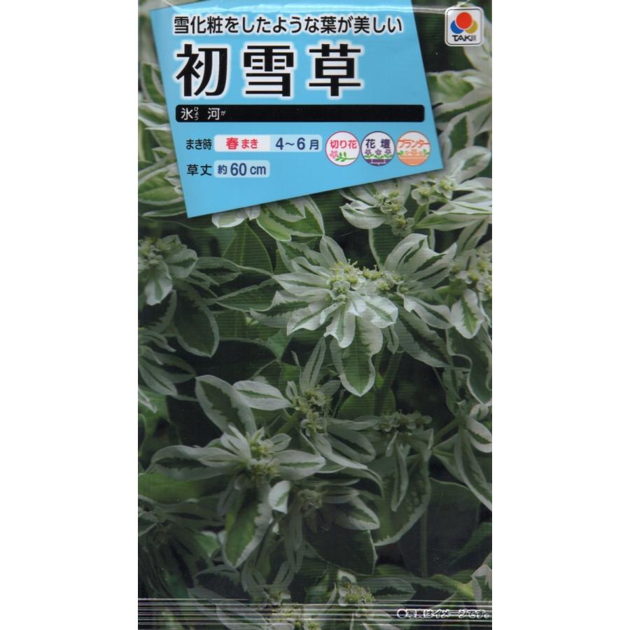 49円 Sale 76 Off 初雪草 氷河 小袋 2 5ml入り 4種便対応商品