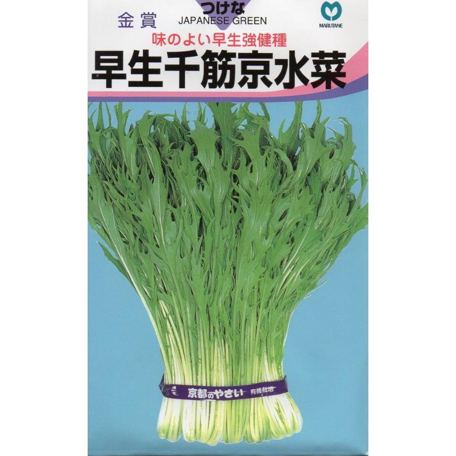 早生千筋京水菜 小袋8ml入り 郵便発送商品 【83%OFF!】 早生千筋京水菜 小袋8ml入り 郵便発送商品 【83%OFF!】