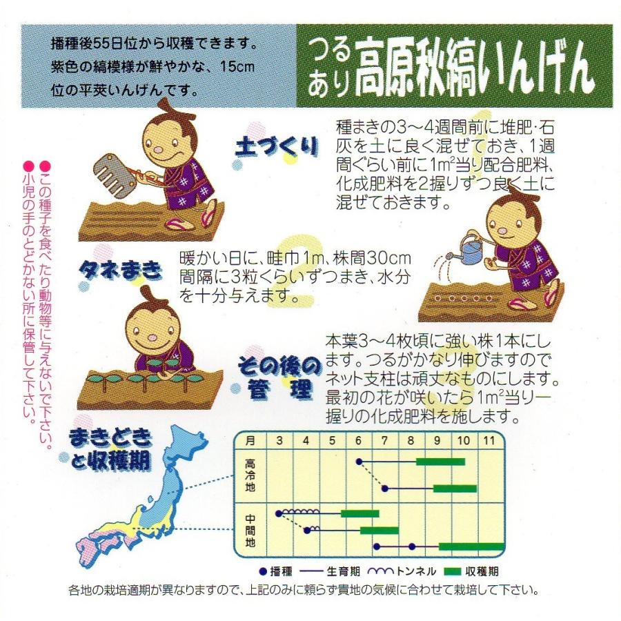安心の実績 高価 買取 強化中安心の実績 高価 買取 強化中つるありインゲン 高原秋縞 小袋 30ml入り 郵便発送商品 根菜、豆類、もやし ほうれん草 種 たね シーダーテープ F1グルメほうれんそう7 1袋(10m) ホウレンソウ 法連草 法蓮草 野菜たね YTC42