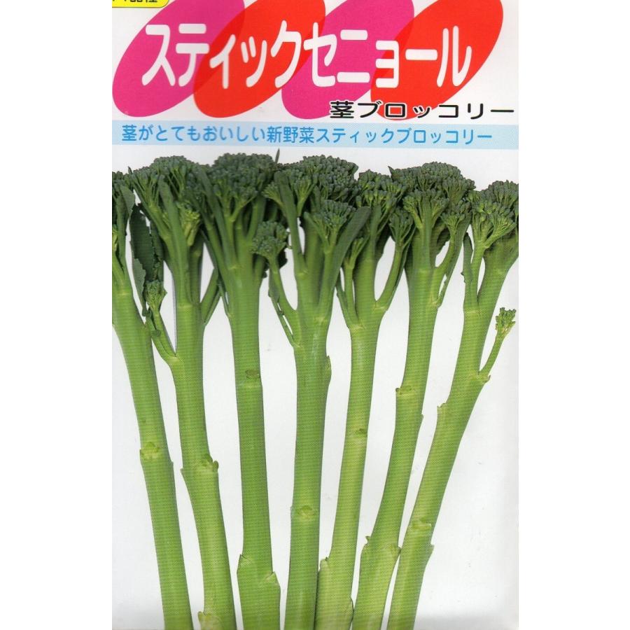 ブロッコリー スティックセニョール 小袋 0.8ml入り 郵便発送商品