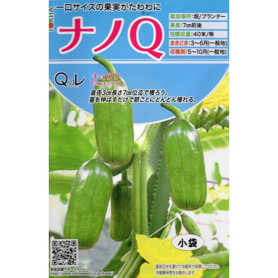 ミニキュウリ ナノｑ 小袋 10粒入り 郵便発送商品 Vc タネのノザキ ヤフー店 通販 Yahoo ショッピング