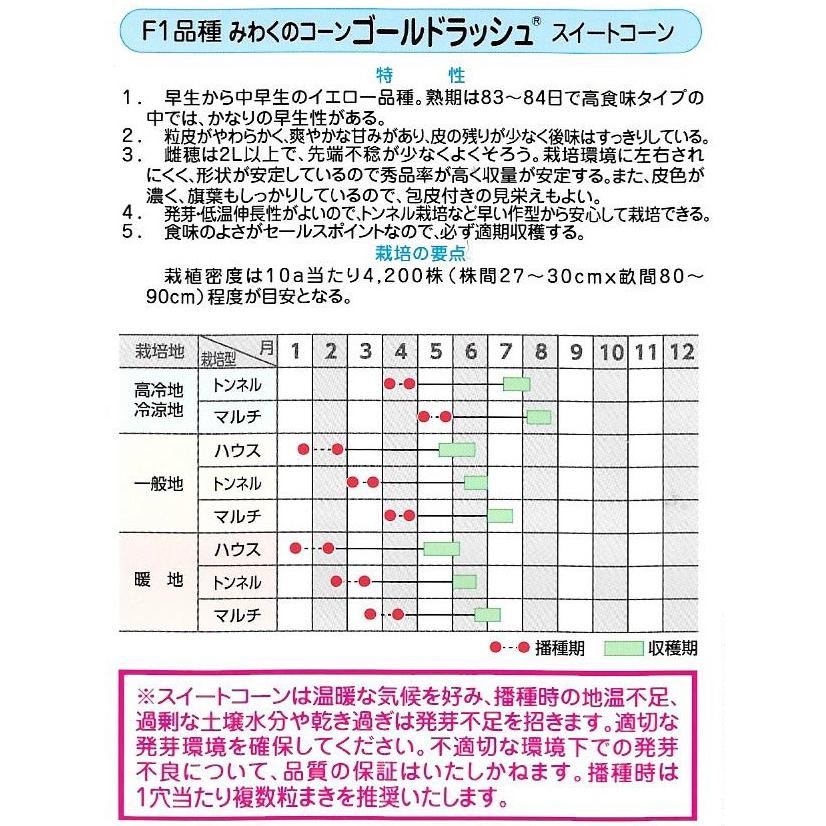 トウモロコシ　ゴールドラッシュ　200粒入り　郵便発送商品｜tanenonozaki｜02