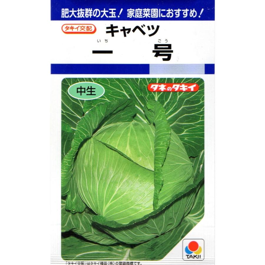 キャベツ 一号 小袋 1.7ml入り 郵便発送商品 :VC0504217:タネのノザキ ヤフー店 - 通販 - Yahoo!ショッピング キャベツ 一号 小袋 1.7ml入り 郵便発送商品 :VC0504217:タネのノザキ ヤフー店 - 通販 - Yahoo!ショッピング