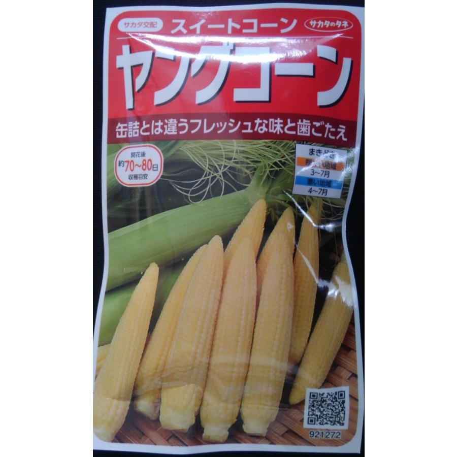 スイートコーン ヤングコーン 小袋 35ml入り 郵便発送商品 : タネの 