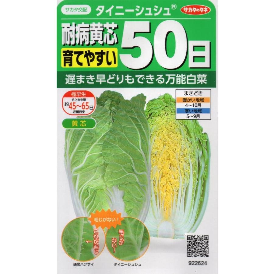 耐病黄芯育てやすい50日　タイニーシュシュ　小袋2.2ml入り　郵便発送商品｜tanenonozaki