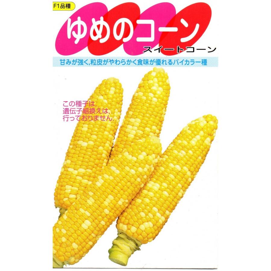 トウモロコシ　ゆめのコーン　小袋　20ml　郵便発送商品｜tanenonozaki