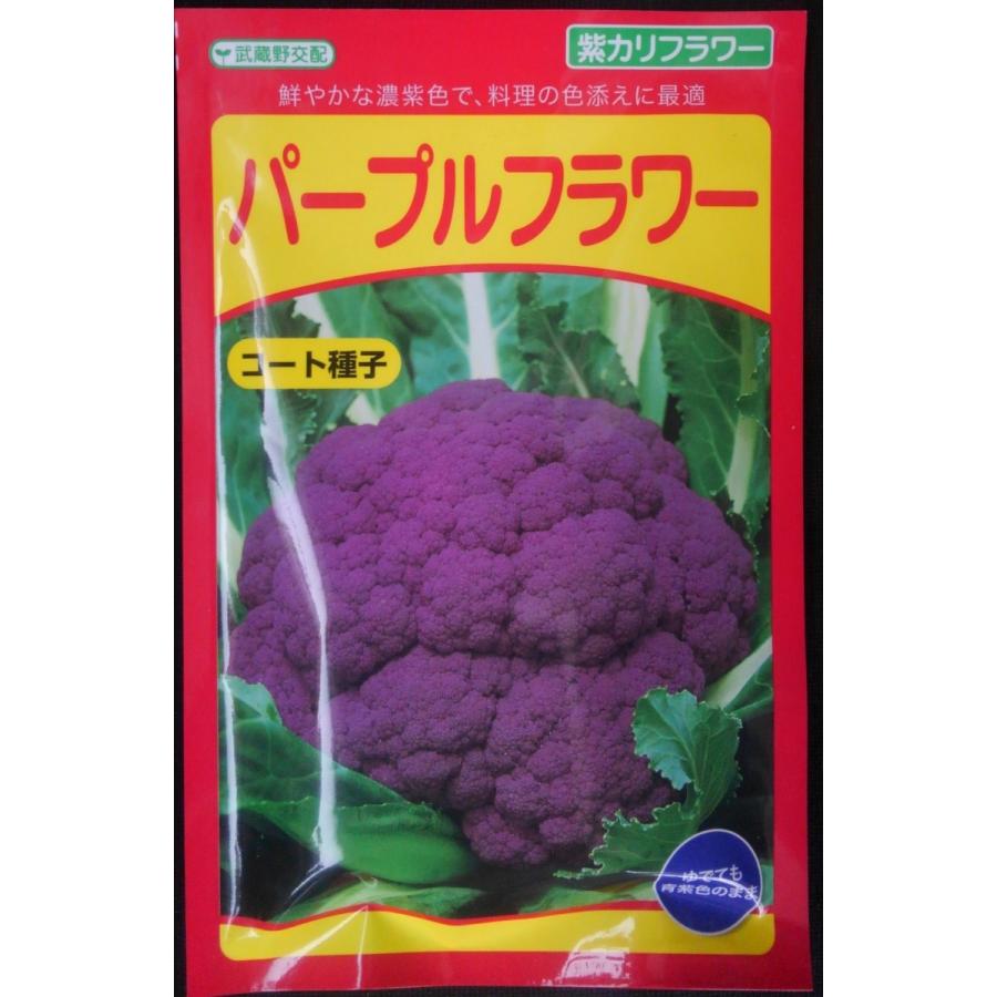 カリフラワー パープルフラワー 小袋 コート35粒入り 郵便発送商品 驚きの値段