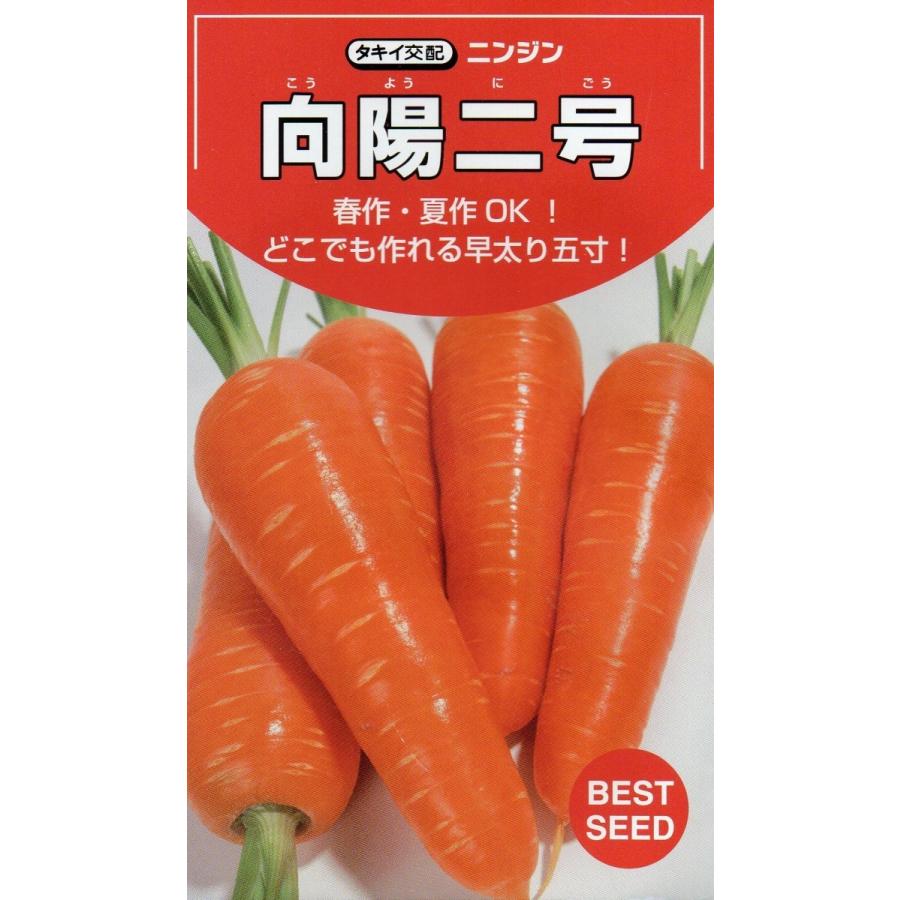 ニンジン 向陽二号 小袋 ペレット種子200粒入り 郵便発送商品 : タネの