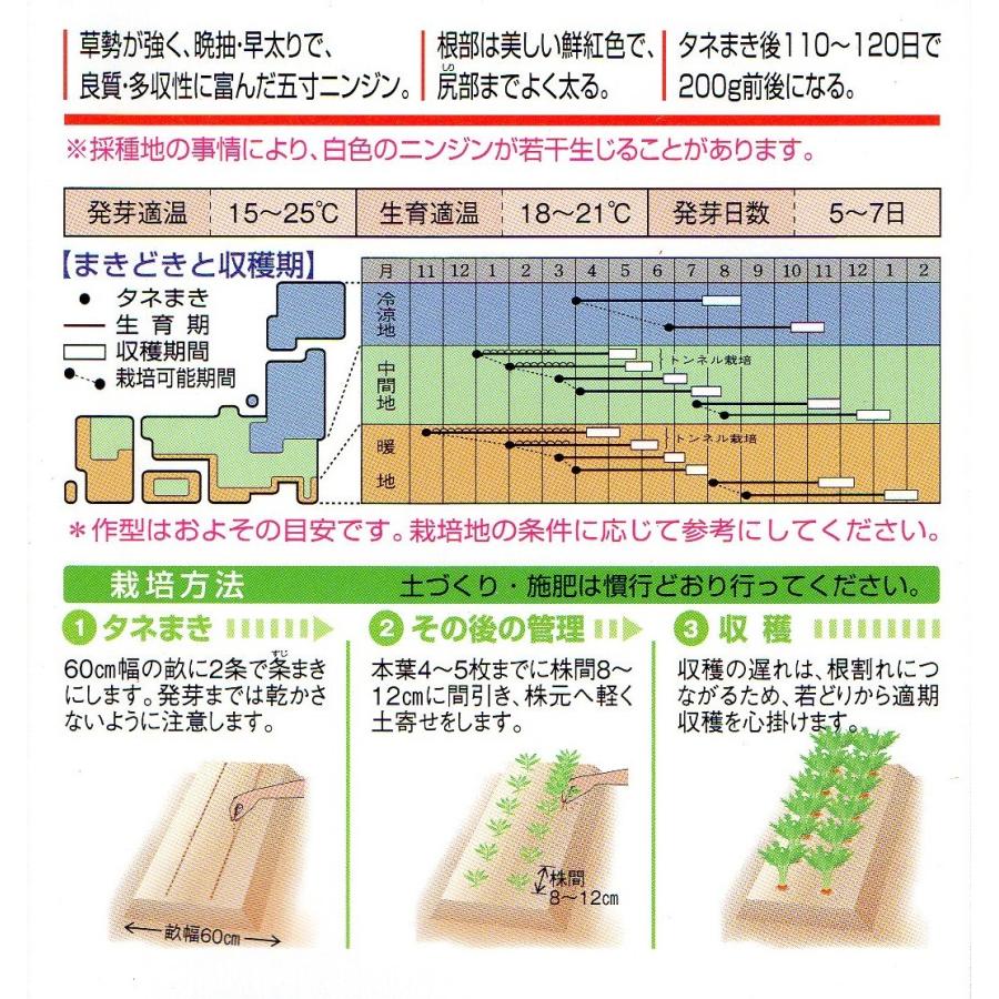 ニンジン 向陽二号 小袋 ペレット種子200粒入り 郵便発送商品 : タネの