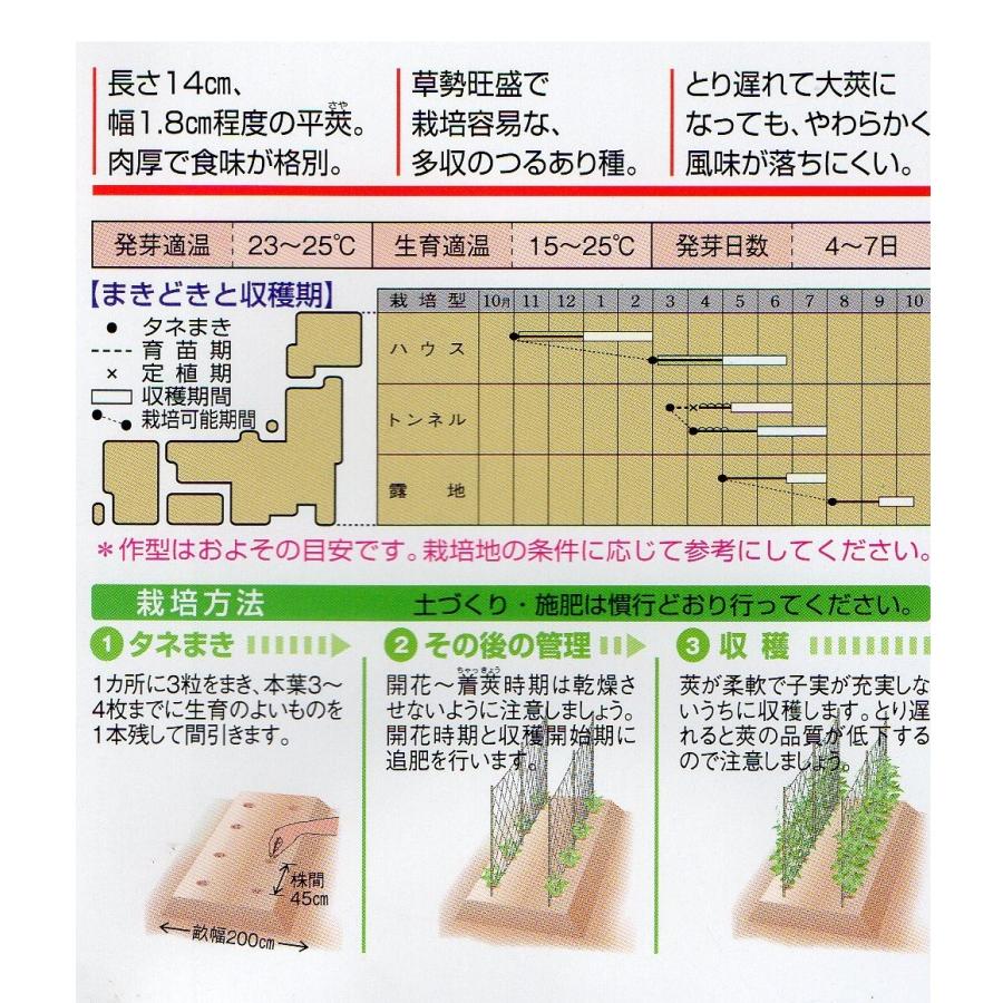 インゲン 爆買いセール つるありモロッコ 小袋 30ml入り 郵便発送商品