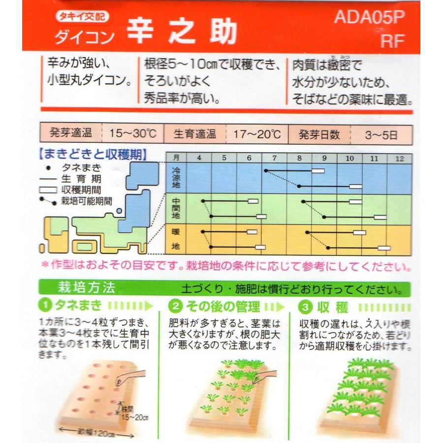 大根 辛之助 小袋 5ml入り 郵便発送商品 : タネのノザキ ヤフー店
